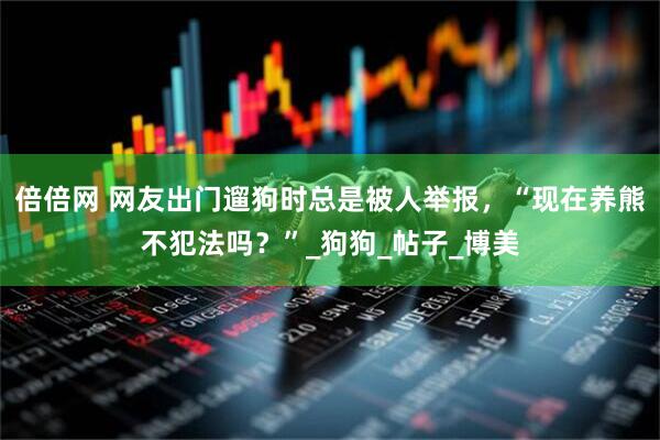 倍倍网 网友出门遛狗时总是被人举报，“现在养熊不犯法吗？”_狗狗_帖子_博美