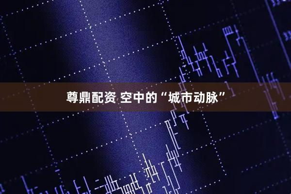尊鼎配资 空中的“城市动脉”