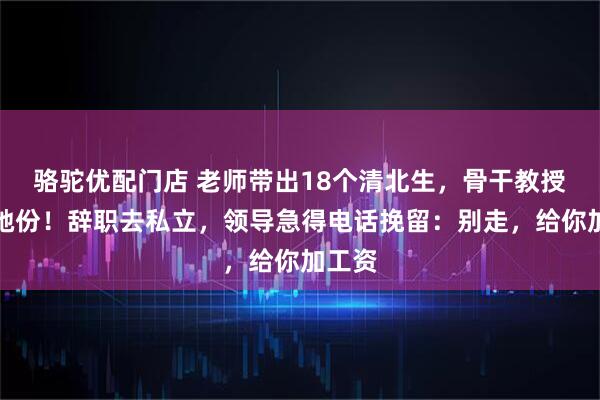 骆驼优配门店 老师带出18个清北生，骨干教授却没她份！辞职去私立，领导急得电话挽留：别走，给你加工资