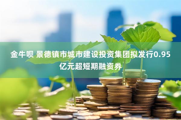 金牛呗 景德镇市城市建设投资集团拟发行0.95亿元超短期融资券
