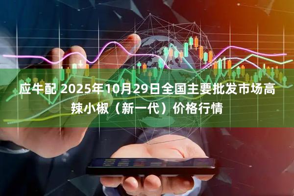 应牛配 2025年10月29日全国主要批发市场高辣小椒（新一代）价格行情